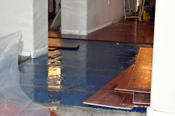 Professional Basement Flood Cleanup technician working in Auburn, KS
